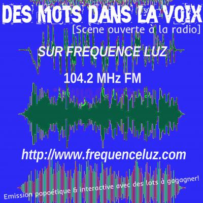 "Des Mots dans la Voix" Poésie improvisée et plus si affinités ...!