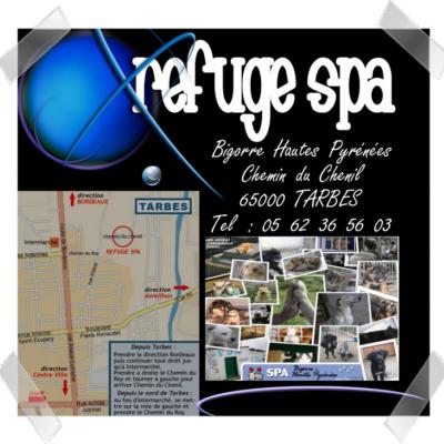 SPA Tarbes