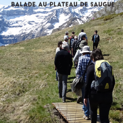 Balade au plateau de  Saugue