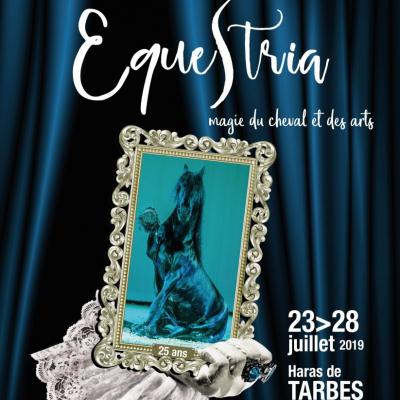'Equestria au Haras de Tarbes  jusqu'au 28 juillet 2019 !