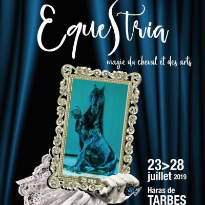 'Equestria au Haras de Tarbes  jusqu'au 28 juillet 2019 !