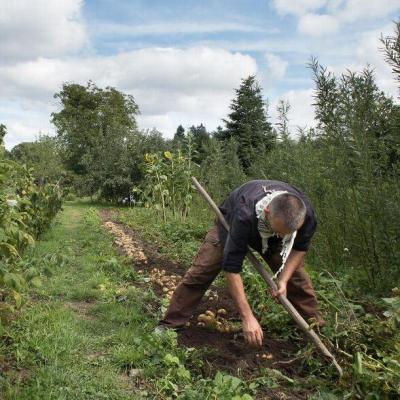 Permaculture et recherche d'autonomie