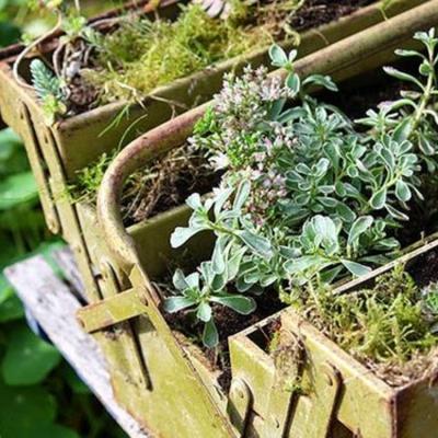 La permaculture : une véritable boute à outils !