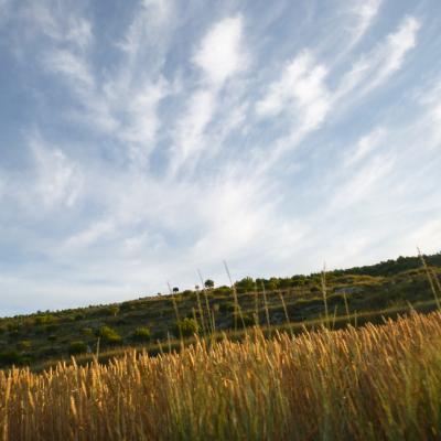 Une récréation sonore dans l'air du temps