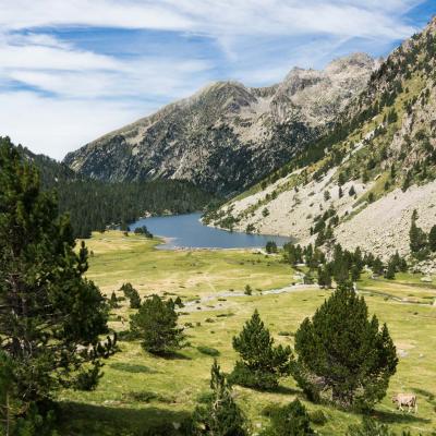 Petit dictionnaire toponymique des Pyrénées de Romain Bourbon