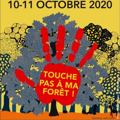 Marches pour la forêt Pyrénéenne