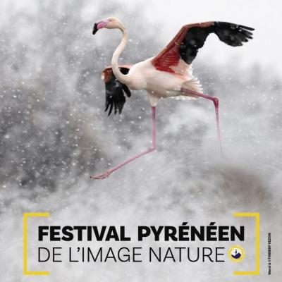 Un avant goût du Festival Pyrénéen de l'Image Nature avant son lancement !