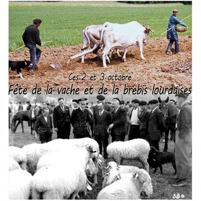 2ème édition de la Fête de la vache et de la brebis lourdaises ces 2 et 3 octobre !