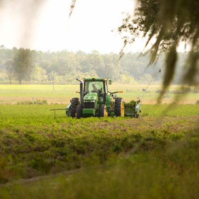 Limites planétaires : une agriculture sur mesure ?