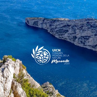 Des nouvelles du Congrès Mondial de la Nature avec Laurent Grandsimon