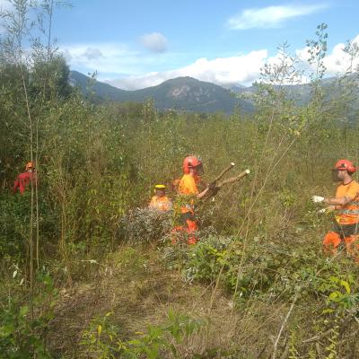 Reportage sur le Lac des Gaves avec la Brigade Verte