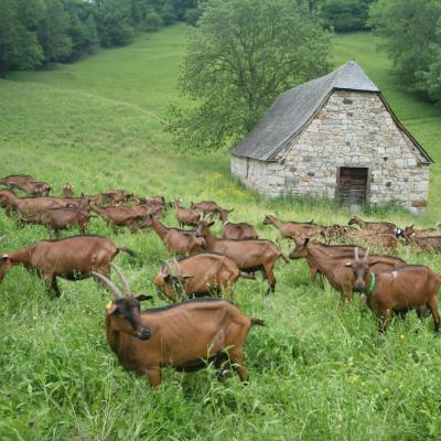 Cartes Blanches en Val d'Azun