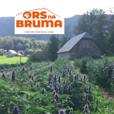 Ors na Bruma - 