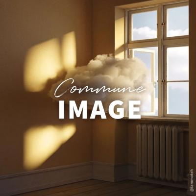 « Commune image » avec Teddy Roca