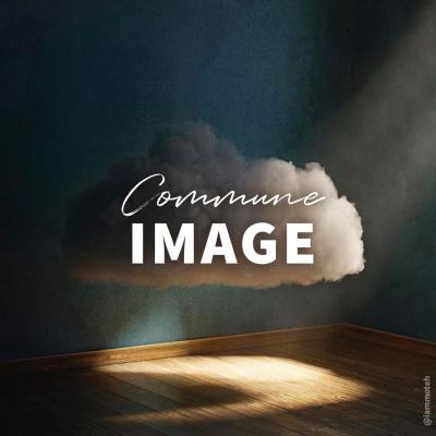 « Commune image » avec Christophe Clottes