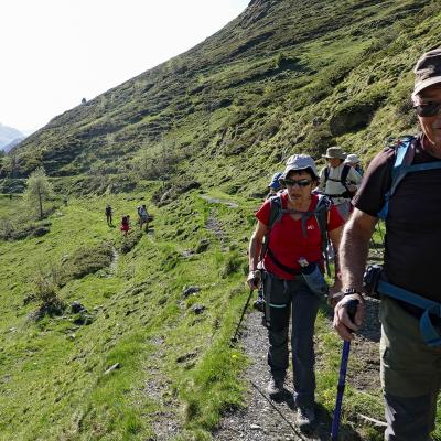 Des randonneurs à la montagne