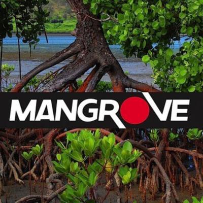 Mangrove logo