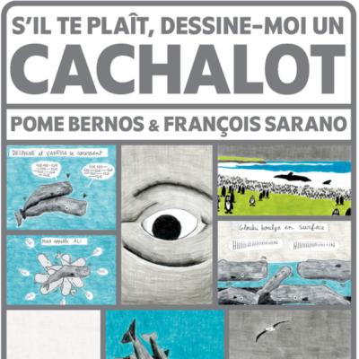 cachalot