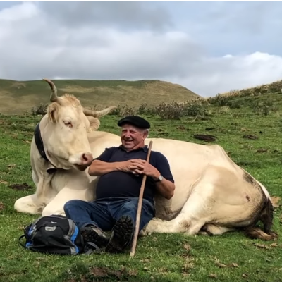 cute monsieur et vache