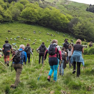 montée au plateau d'Ihlec