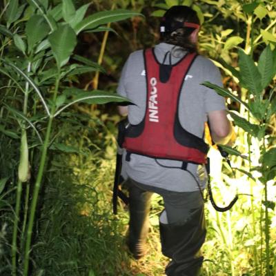 Exploration nocture au milieu de la forêt...