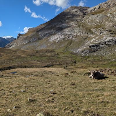 lac de sautaro, SGA