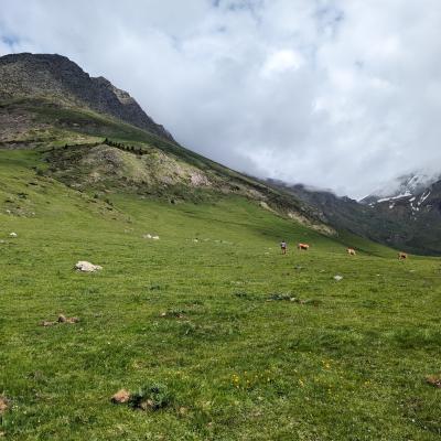 estive du Labat de Bun