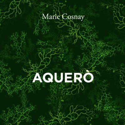visuel du livre avec des dessins organiques sur un fond vert foncé
