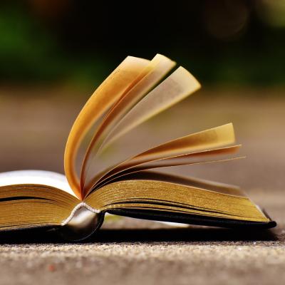 Les tourneurs de pages de la villa Oustau