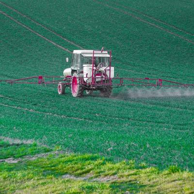 Tracteur pulvérisant des pesticides sur un champ de blé. 