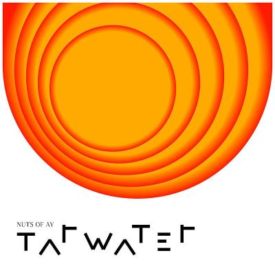 Pochette album de Tarwater - Hideous Kiss