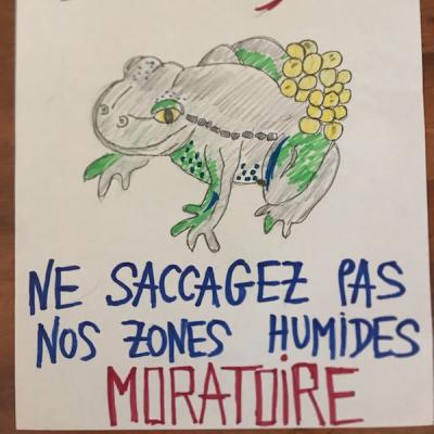 crapaud accoucheur