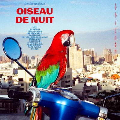 Pochette de Antoine Corriveau - Oiseau de nuit