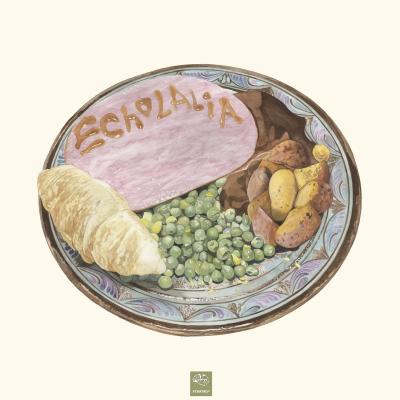 Pochette d'Echolalia - Little Bird