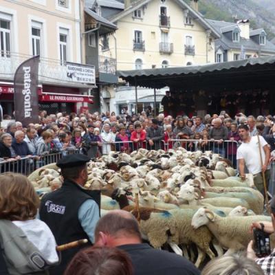 les brebis entourées par la foule dans le coeur du village de Luz