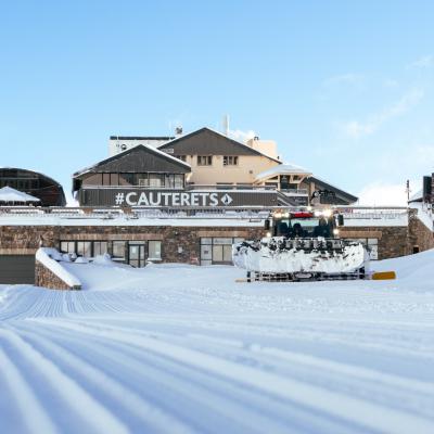 dammeuse devant le lys