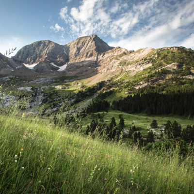 Histoire et enjeux du Montaigu