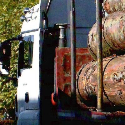 un camion chargé de tronc d'arbres débités