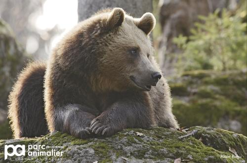  parc animalier Py