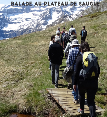 Balade au plateau de  Saugue