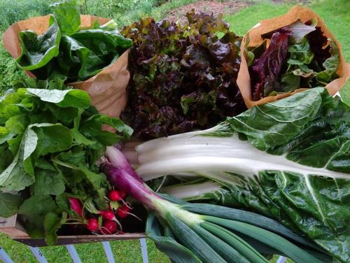 La Permaculture au delà du potager !