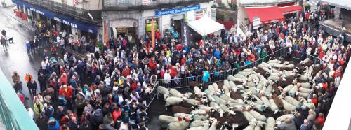 La Foire aux Côtelettes 2019,