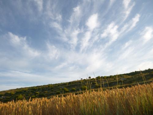 Une récréation sonore dans l'air du temps