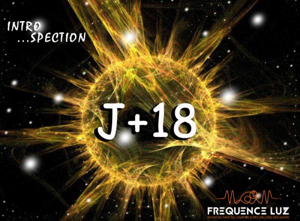 Minute M # J+18 ... "Intro-spection"