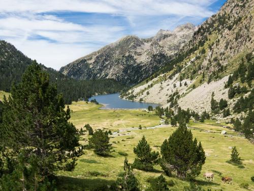 Petit dictionnaire toponymique des Pyrénées de Romain Bourbon