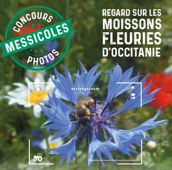 CONCOURS PHOTOS « Regards sur les moissons fleuries d’Occitanie »