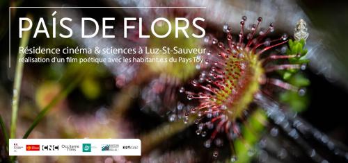 Une soirée d'animations autour de l'avant-première du film Pais de Flors