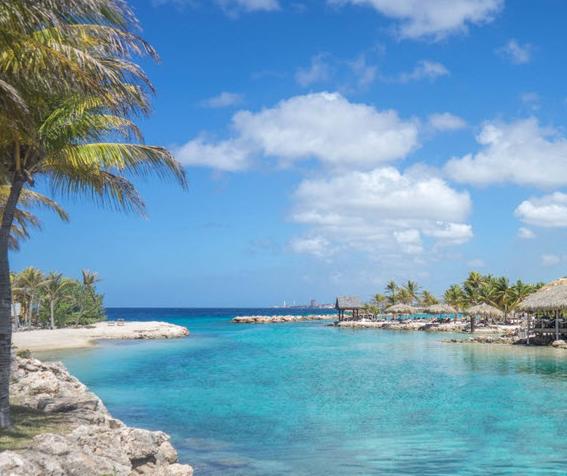 Le Cri du Geai #27 - Les Antilles
