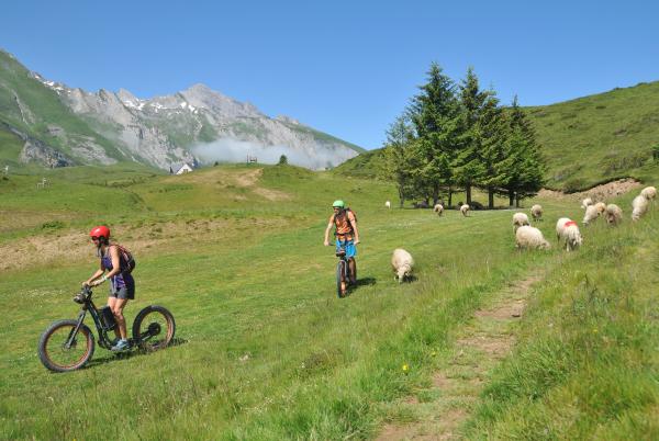 Découvrez les activités de la Station Sport Nature du Val d'Azun