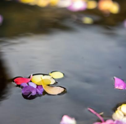 La Fête des Fleurs va faire vibrer Saint-Sauveur !